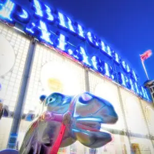 Pier Horse Colour scaled